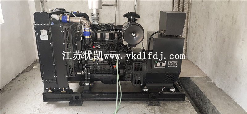 2021年1月26日，100KW上柴發(fā)電機組交付廣西防城港某養(yǎng)豬場使用